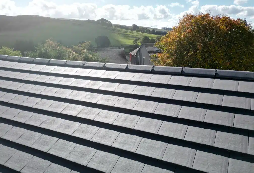 Our gallery 31 rmw 6